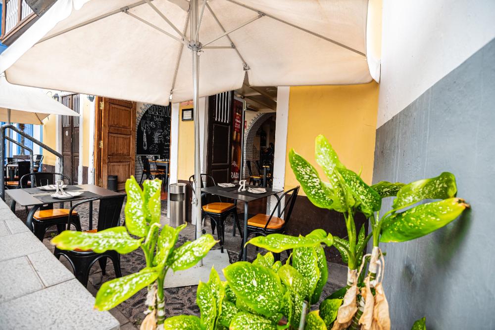 Terraza de restaurante con plantas